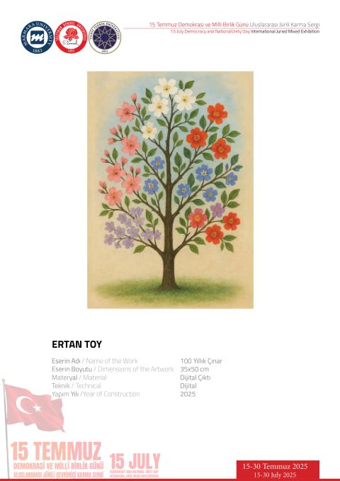 ERTAN TOY